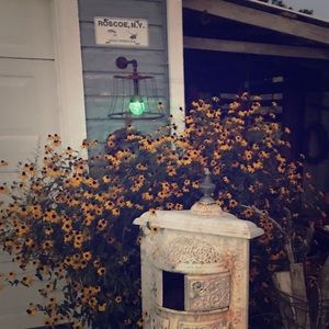 Meet your Posher, Suzanne